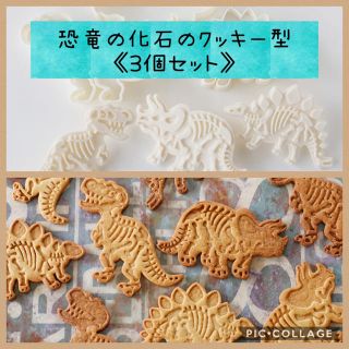 恐竜の化石のクッキー型(調理道具/製菓道具)