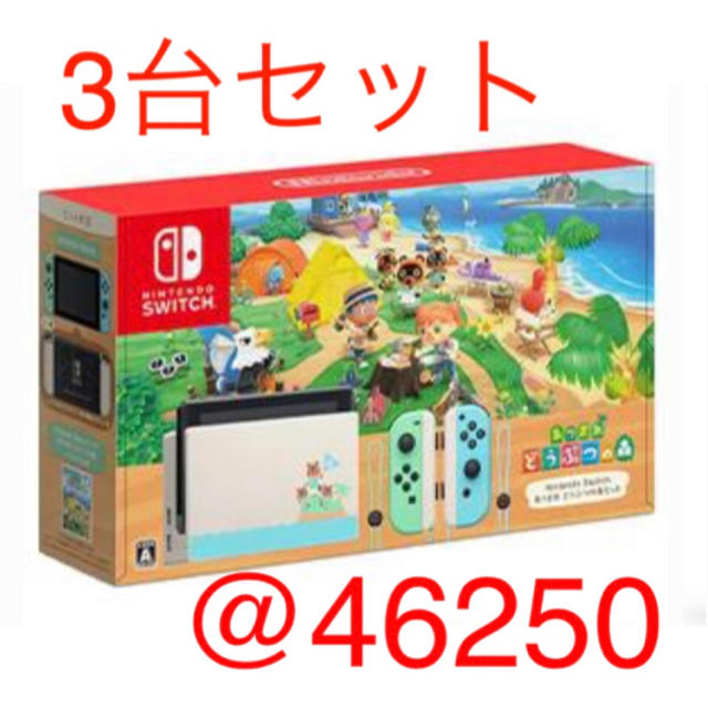 Nintendo Switch  【あつまれ どうぶつの森セット】 印なし 3台