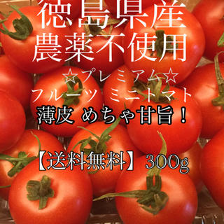 徳島県産 農薬不使用 プレミアム【ままトマト】薄皮 フルーツ ミニトマト トマト(野菜)
