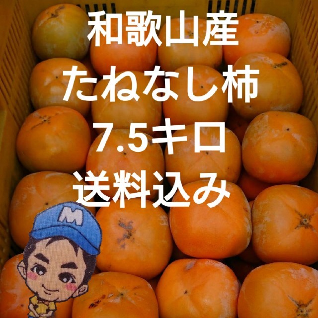 和歌山県産 まーくん家のたねなし柿 7.5キロ箱 食品/飲料/酒の食品(フルーツ)の商品写真