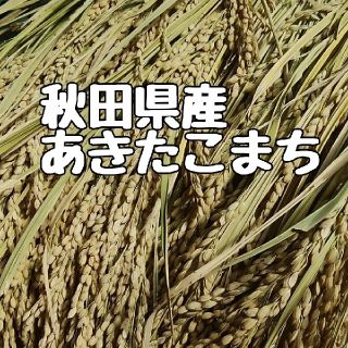 新米秋田県産あきたこまち玄米25キロ減農薬(米/穀物)