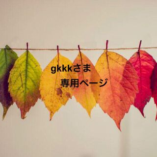 【gkkkさま専用ページ】(その他)