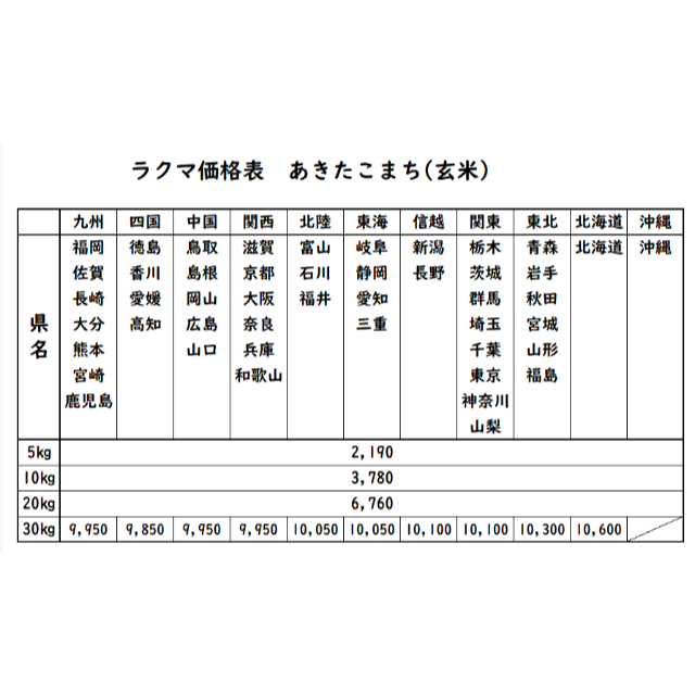 20kg　愛媛県産あきたこまち　玄米　令和2年　お米　米/穀物