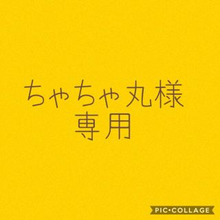 ちゃちゃ丸様(その他)