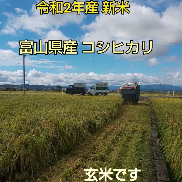 新米　令和２年産富山県産コシヒカリ30kg　米/穀物