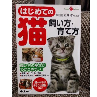 はじめての猫飼い方・育て方 飼い方の基本がわかりやすい！(小動物)