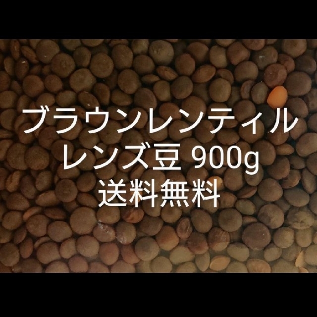 レンズ豆900g/Brown Lentil 乾燥豆 食品/飲料/酒の食品(米/穀物)の商品写真