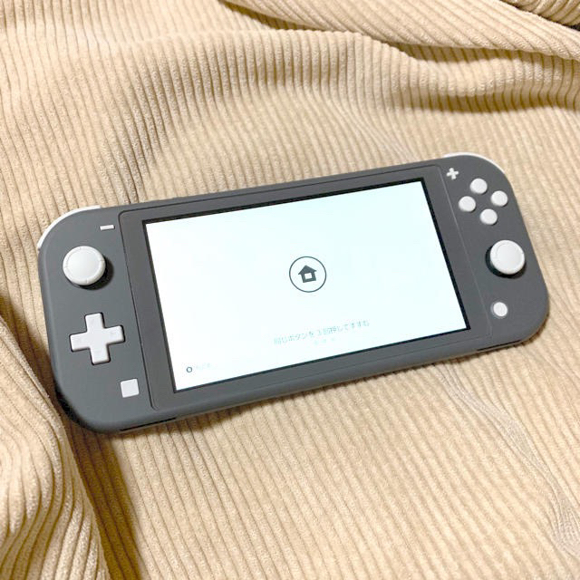 Nintendo switch lite グレー&どうぶつの森 ソフト品