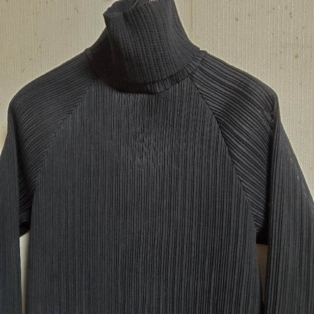 PLEATS PLEASE ISSEY MIYAKE(プリーツプリーズイッセイミヤケ)のLEINWANDE プリーツタートルネック レディースのトップス(カットソー(長袖/七分))の商品写真