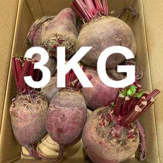 新鮮 北海道 ビーツ 江別産 3kg 送料込み(野菜)