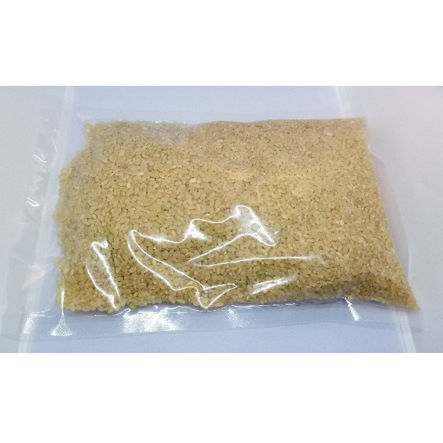 熊本県産　米/穀物　6kg　新米100%　発芽玄米　自家製産