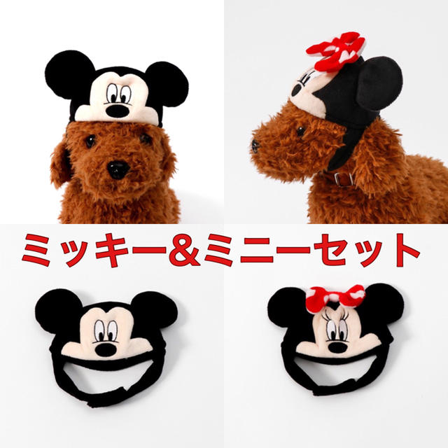 Disney(ディズニー)の3COINS ペットキャップ ミッキー&ミニーセット 2020 ハロウィン♡ その他のペット用品(犬)の商品写真