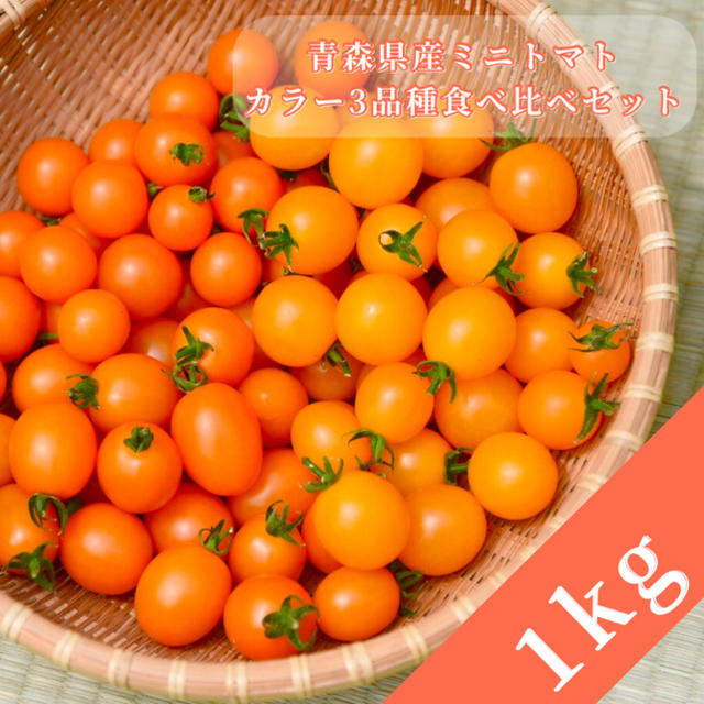 ミニトマト 1kg  [農学博士のDr.トマト] 採れたて☘️産地直送いたします 食品/飲料/酒の食品(野菜)の商品写真