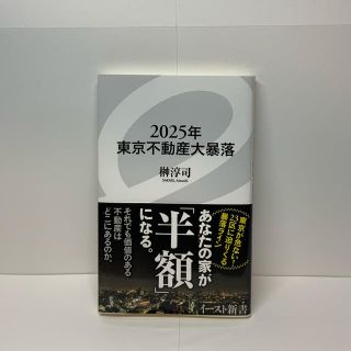 ２０２５年東京不動産大暴落(文学/小説)