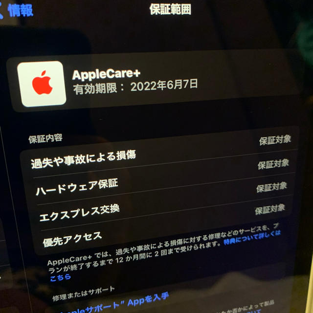 iPad Pro 11 256G AppleCare +加入