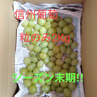 信州葡萄　黄甘　巨峰　ピオーネ　粒売り　2kg(フルーツ)