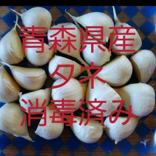 青森県産にんにくタネ★小粒★150g★ニンニク(野菜)