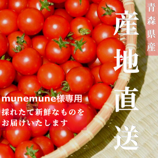 ミニトマト 3kg munemune様専用です☘️ 食品/飲料/酒の食品(野菜)の商品写真