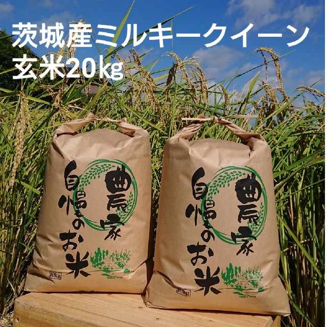 茨城令和2年産新米ミルキークイーン玄米20㎏食品