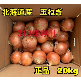 北海道産玉ねぎ品種北もみじ2000(野菜)