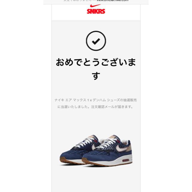 NIKE(ナイキ)のエアマックス デンハムコラボ　29cm メンズの靴/シューズ(スニーカー)の商品写真