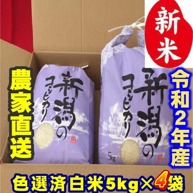 新米・令和2年産新潟コシヒカリ　白米5kg×4個★農家直送★色彩選別済16