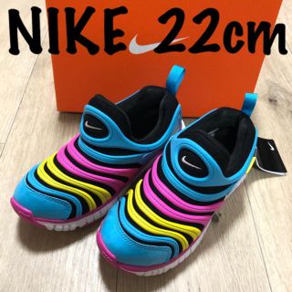 ナイキ(NIKE)の22 ナイキダイナモ　靴　ナイキダイナモフリー  運動靴　スリッポン　ダイナモ(スニーカー)