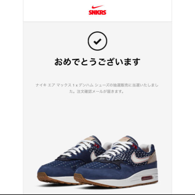 DENHAM × NIKE AIR MAX 1 "エアマックスデンハム26cm