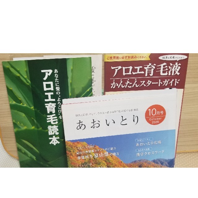 小林製薬(コバヤシセイヤク)のアロエ製薬育毛液(発毛促進、脱毛予防) コスメ/美容のヘアケア/スタイリング(スカルプケア)の商品写真