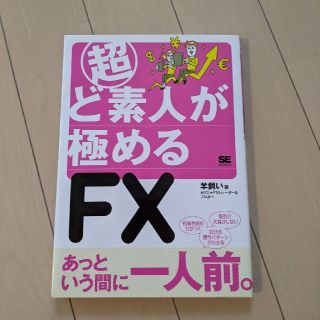 超ど素人が極めるＦＸ(ビジネス/経済)