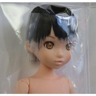 ヴァンパイア　ruruko boy　本体のみ(人形)