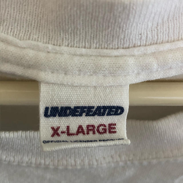 UNDEFEATED(アンディフィーテッド)のwasted youth×undefeated XL メンズのトップス(Tシャツ/カットソー(半袖/袖なし))の商品写真