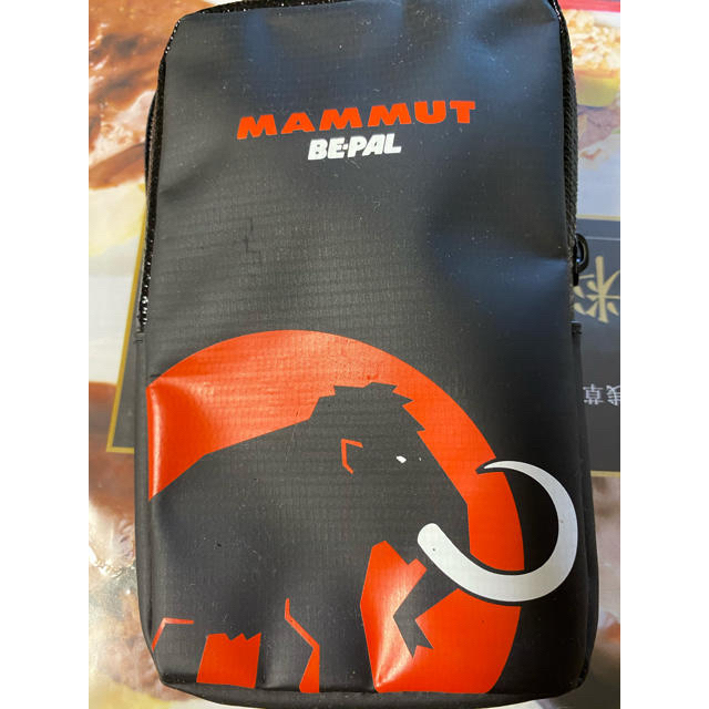 Mammut(マムート)のポーチ レディースのファッション小物(ポーチ)の商品写真