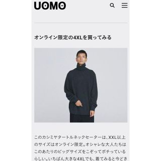 ユニクロ(UNIQLO)のユニクロ カシミヤ タートルネック ニット セーター 4XL スタイリスト私物(ニット/セーター)