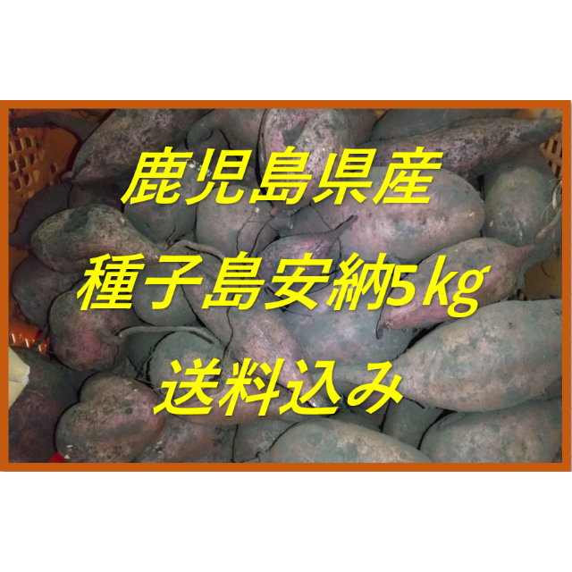 鹿児島県産 種子島安納芋 約5ｋｇ 食品/飲料/酒の食品(野菜)の商品写真