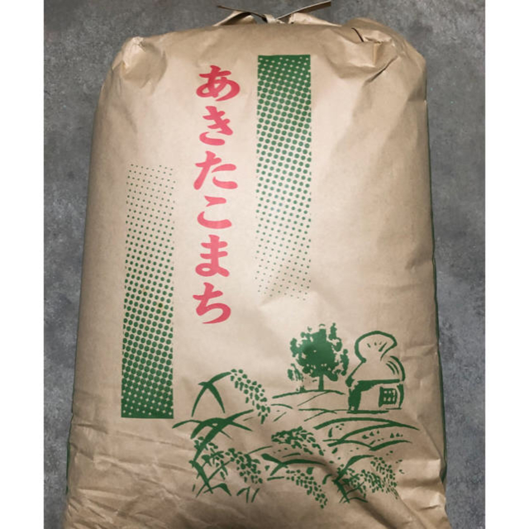 令和5年 秋田県産 新米 あきたこまち 一等米 減農薬栽培米　精米20kg米/穀物