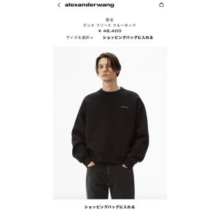 アレキサンダーワン(Alexander Wang)のalexander wangのスウェット(スウェット)