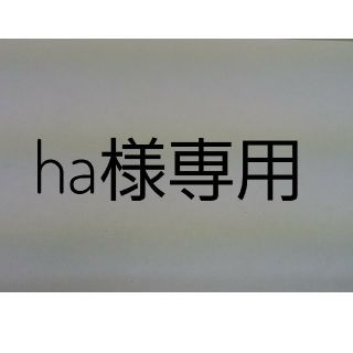 ha様専用(その他)