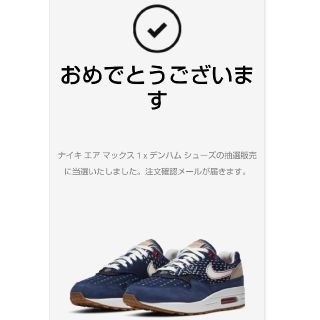 ナイキ(NIKE)のナイキ デンハム エアマックス1 (スニーカー)