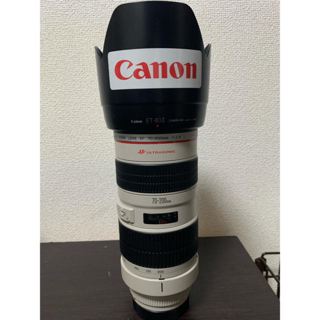 Canon EF 70-200mm F2.8L USM