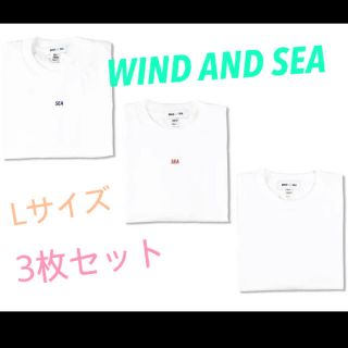 ロンハーマン(Ron Herman)の再値下げ⭐︎ WIND AND SEA   Lサイズ(Tシャツ/カットソー(半袖/袖なし))