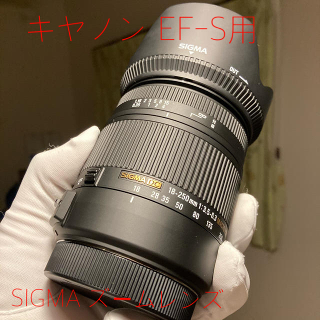 【キヤノン 用】SIGMA 18-250F3.5-6.3 DC MACRO OS レンズ(ズーム)