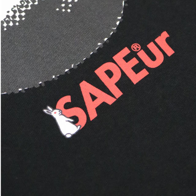 Supreme(シュプリーム)のSAPEur FR2 コラボTシャツ ロッドマン 激レア メンズのトップス(Tシャツ/カットソー(半袖/袖なし))の商品写真