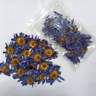 ブルーロータス　10g Blue Lotus(お香/香炉)