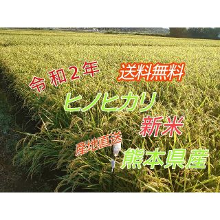 令和二年　ヒノヒカリ　新米　600g　熊本県産(米/穀物)