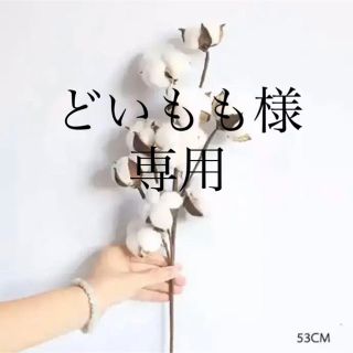 コットンフラワー　造花　フェイク一輪(ドライフラワー)