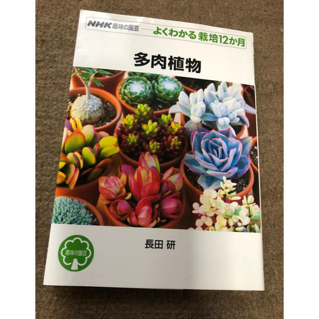多肉植物 Nhk趣味の園芸 よく分かる栽培12ヶ月の通販 By ちー S Shop ラクマ 多肉植物 Nhk趣味の園芸 よく分かる栽培12ヶ月の通販 By ちー S Shop ラクマ