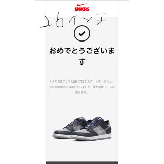 ナイキ(NIKE)のSB ダンク LOW プロ ダークグレー26インチ(スニーカー)