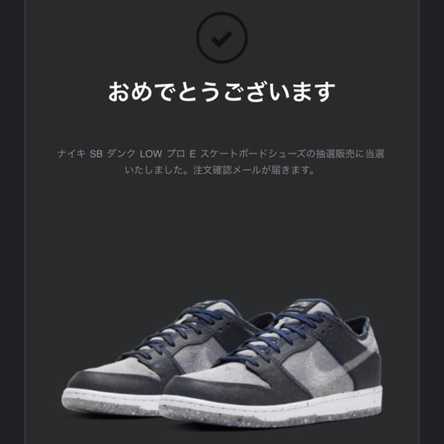 NIKE(ナイキ)のNike SB Dunk Low Pro Dark Gray メンズの靴/シューズ(スニーカー)の商品写真