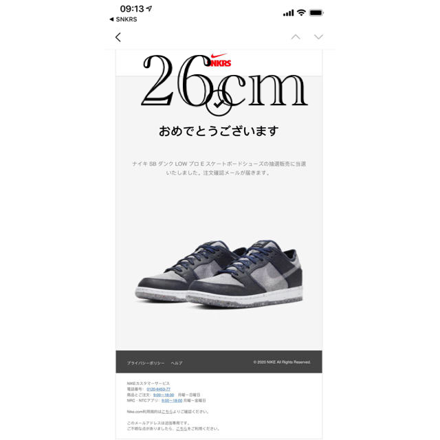 新品未使用購入先NIKE SB DUNK LOW PRO "DARK GREY" 26